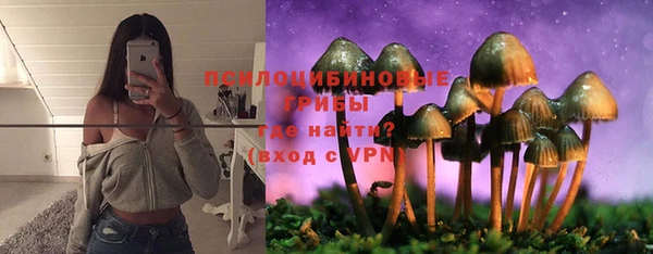 спиды Аркадак