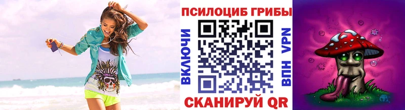 Псилоцибиновые грибы мицелий  Аша 