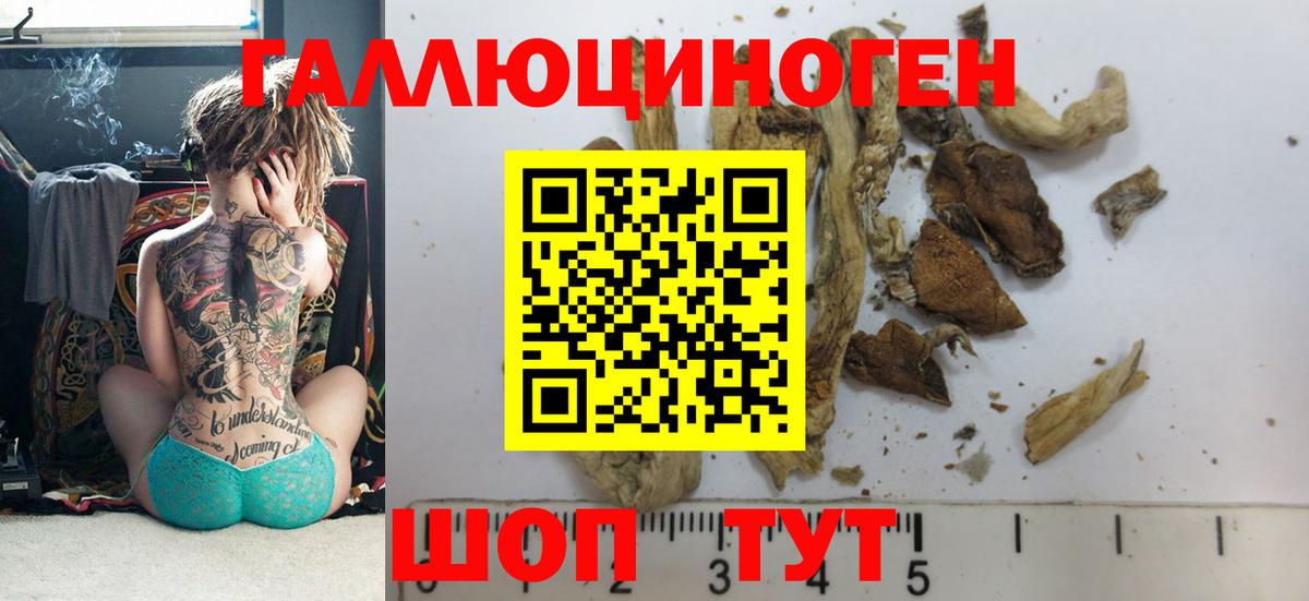 Галлюциногенные грибы прущие грибы Аша